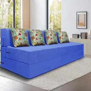 Sofa Cum Bed